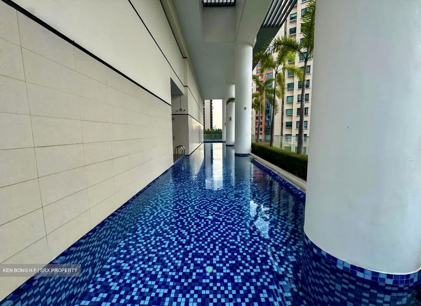 Haig 162 (D15), Apartment #536582651
